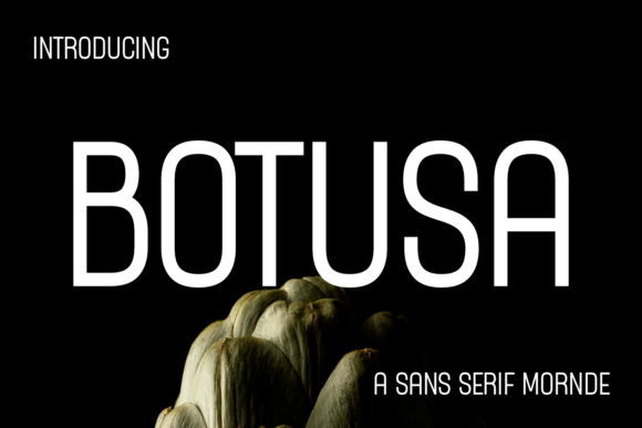 Botusa: A Clean Sans Serif Font for Modern Brand Identity