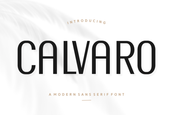 Calvaro: A Thoughtful Sans Serif for Editorial Calm