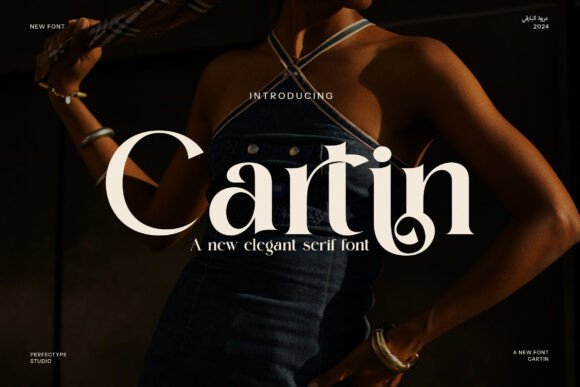 Cartin Serif Font for Professional, Consistent Branding
