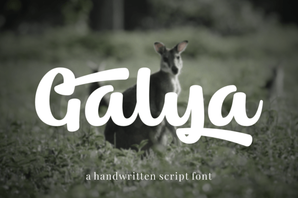 Galya: A Bold Script Font for Memorable Branding