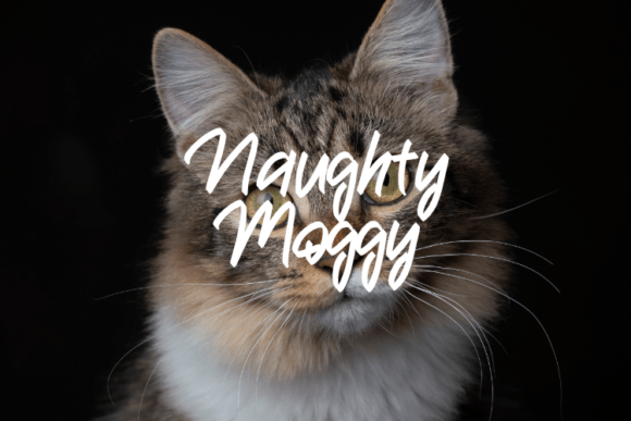 Naughty Moggy: A Playful Script Font for Handmade Creators
