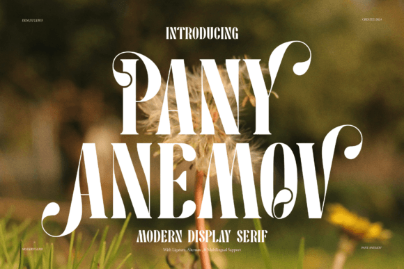 Pany Anemov: A Refined Serif Font for Digital Branding