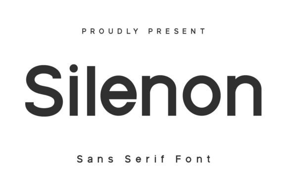 Silenon: A Clean Sans Serif Font for Confident Branding
